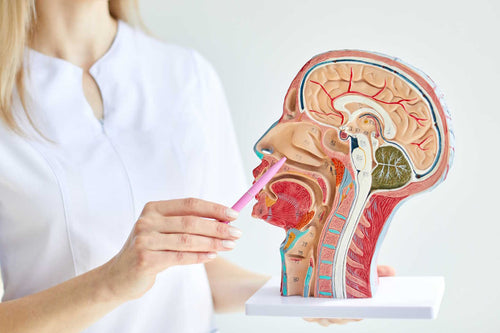 National Minor Ailments Prescribing Package - Eyes, Ear, Mouth, Nose & Throat Disorders