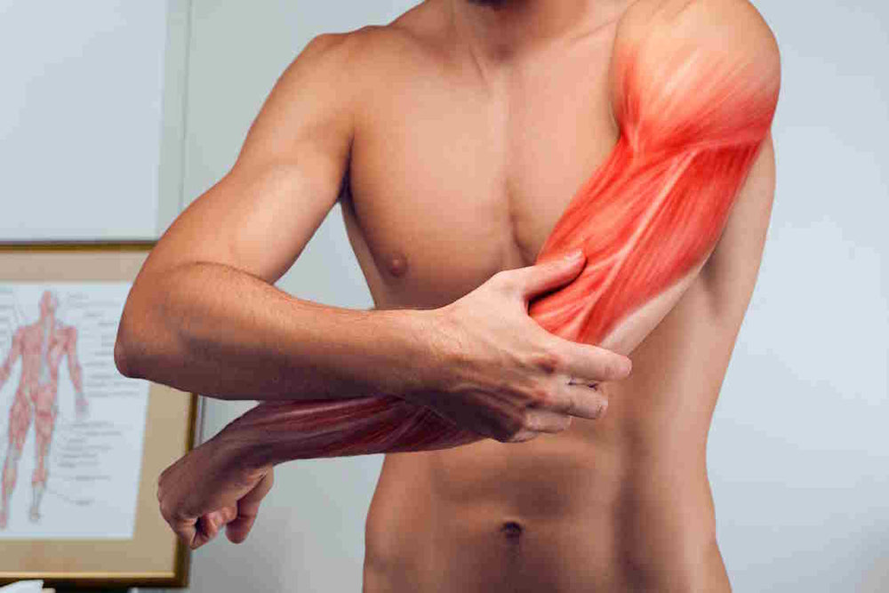 National Minor Ailments Prescribing Package - MSK & Nervous System Conditions