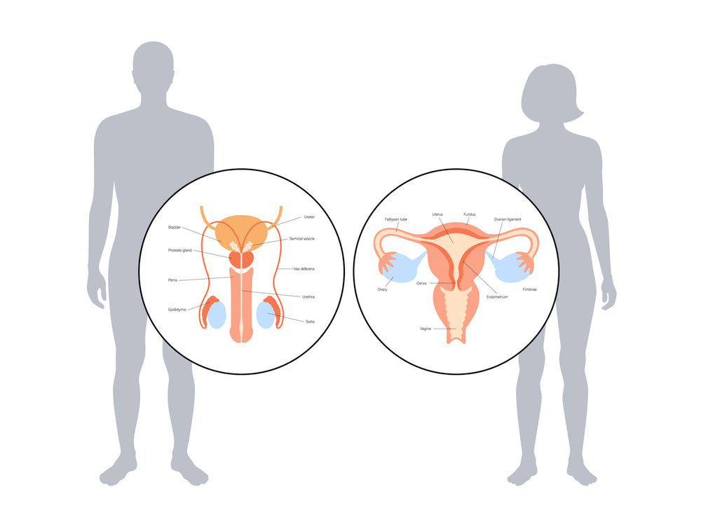 National Minor Ailments Prescribing Package - Sexual Health & Urinary Disorders