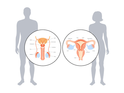 National Minor Ailments Prescribing Package - Sexual Health & Urinary Disorders